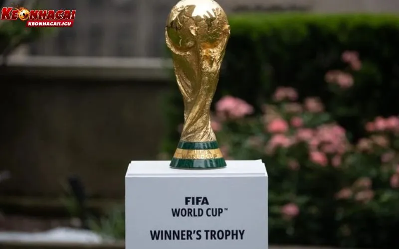 World Cup 2026 giải đấu nhận được nhiều sự quan tâm của người hâm mộ