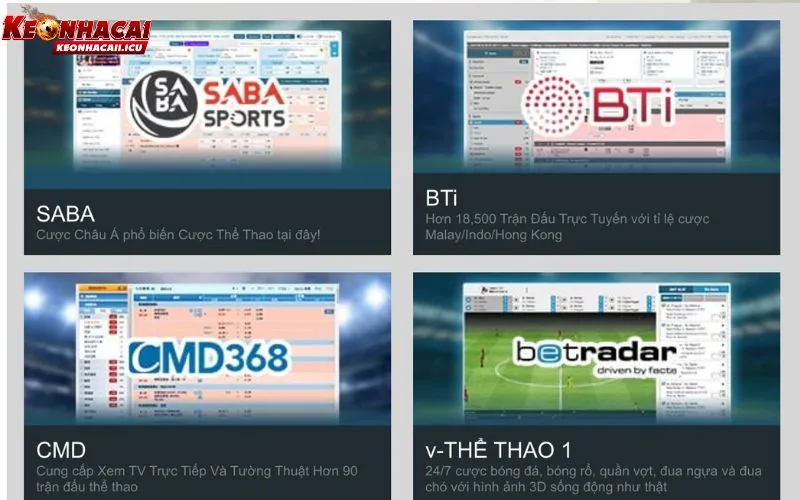 Đôi nét giới thiệu chung về nền tảng cá độ uy tín W88