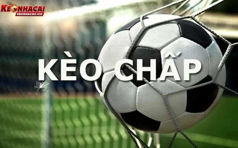 Kèo Chấp 1/4 Ăn Như Thế Nào? Kinh Nghiệm Soi Kèo Bất Bại 2 Giải mã kèo chấp 1/4 ăn như thế nào trong thực tế?