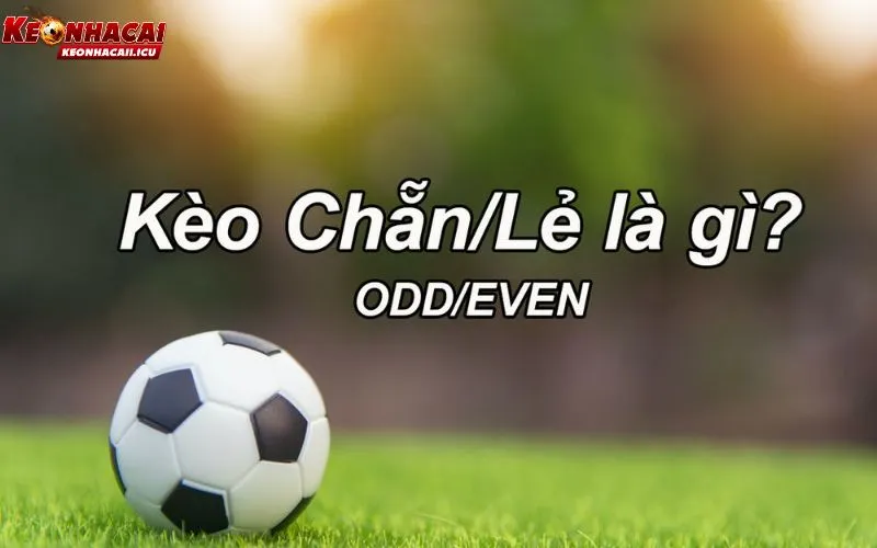 Kèo chẵn lẻ là gì và vì sao lại dễ tiếp cận?