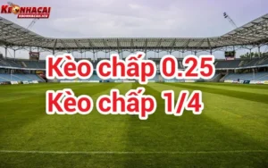 Kèo chấp 1/4 ăn như thế nào