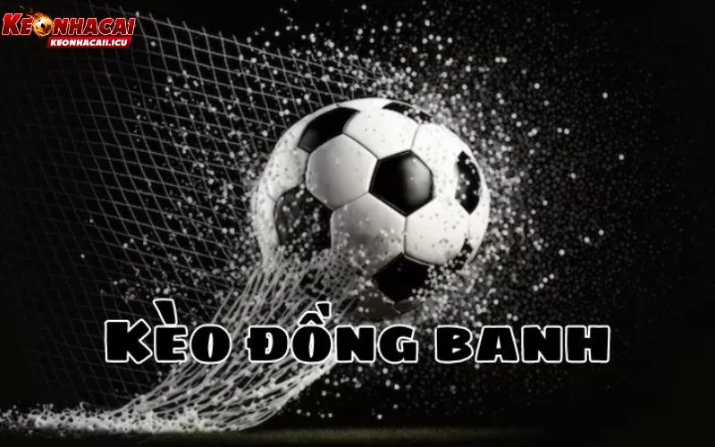 Kèo Đồng Banh Là Gì? Chiến Thuật Soi Kèo Hòa Cho Bạn 2 Kèo đồng banh là gì và quy tắc tính tiền?