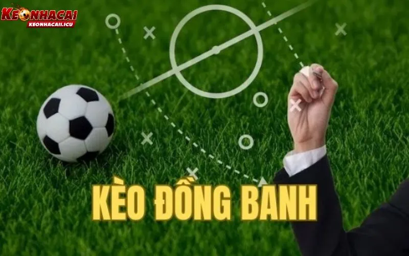 Kèo Đồng Banh Là Gì? Chiến Thuật Soi Kèo Hòa Cho Bạn 1 kèo đồng banh là gì