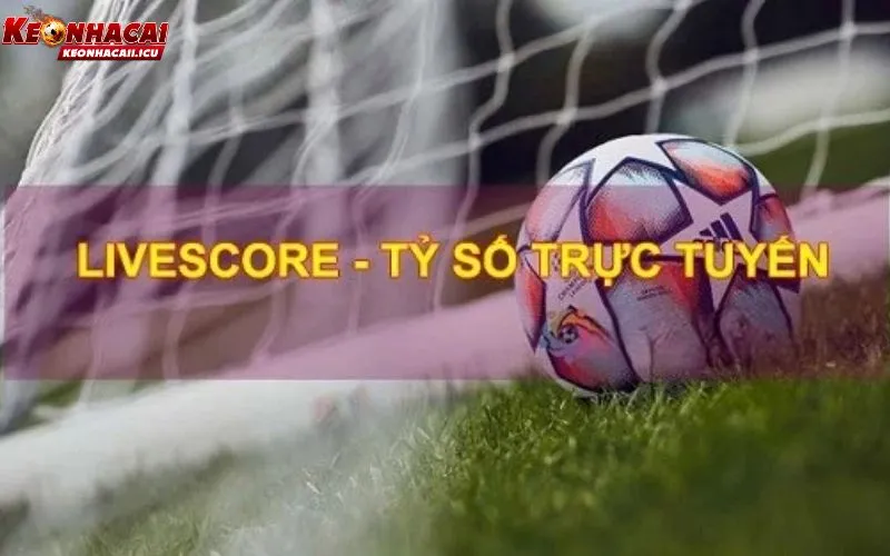 Livescore Trực Tiếp – Theo Dõi Tỷ Số Theo Thời Gian Thực 1 Livescore trực tiếp
