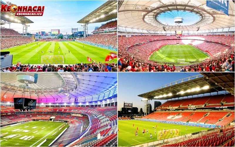 World Cup Tổ Chức Ở Đâu? Thông Tin Chính Thức Mới 4 Những điểm đặc biệt khi World Cup tổ chức tại Bắc Mỹ