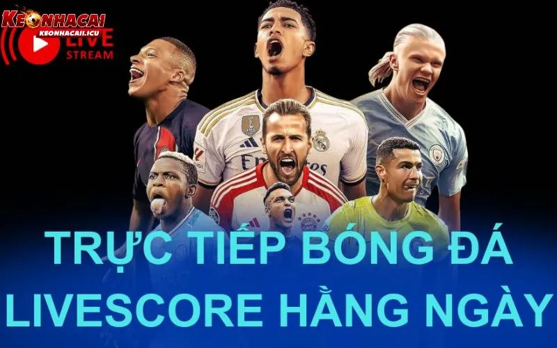 Những thông tin được hiển thị trong chuyên mục Livescore 