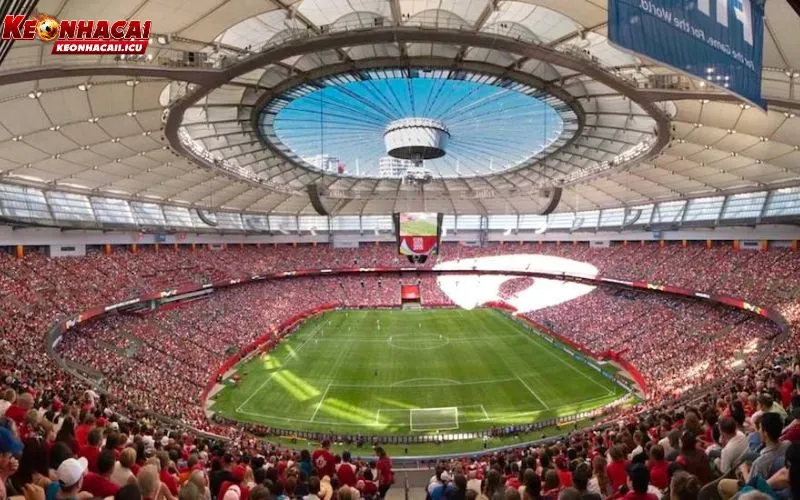 World Cup Tổ Chức Ở Đâu? Thông Tin Chính Thức Mới 2 Thông tin chi tiết về nơi tổ chức World Cup
