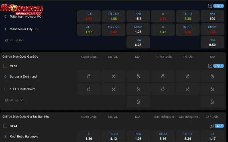 Tổng quan về nhà cái cá độ bóng đá 8XBet